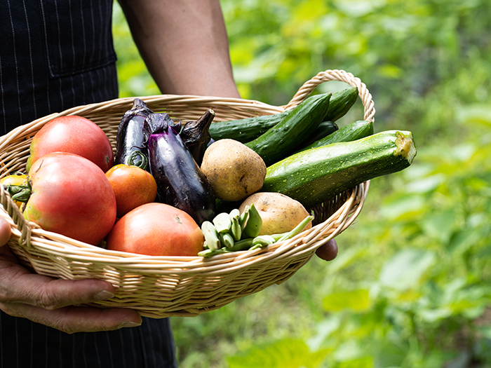 レンタルサービス